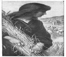 Ruth

Painted by Henry Ryland